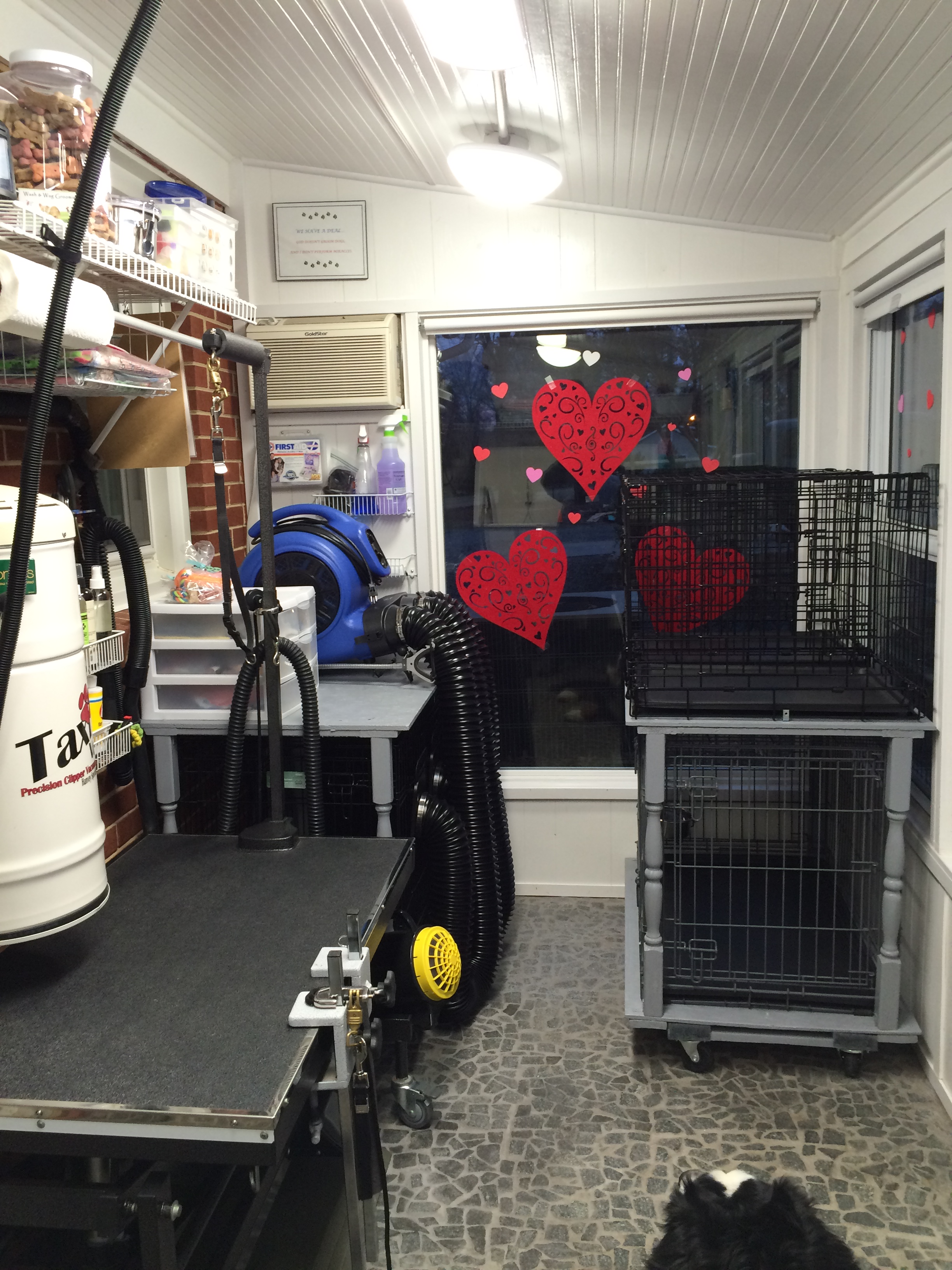 Wash & Wag Grooming Dog Grooming Wash & Wag Grooming